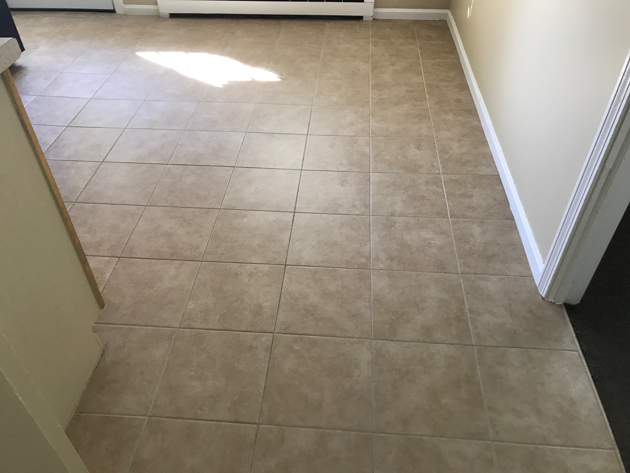 Palmer Garden Style Apartments photo 16